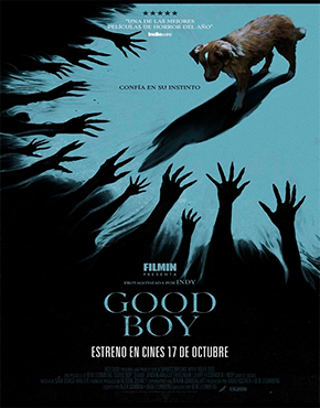Good Boy